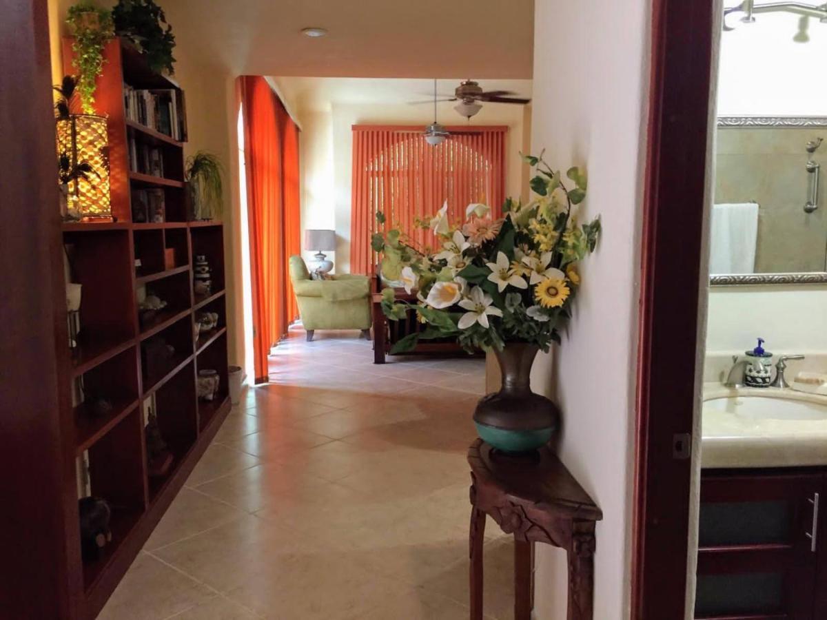 Casa Beard, Spacious Guest House With High Speed Wifi & Pool. 普拉亚卡门 外观 照片