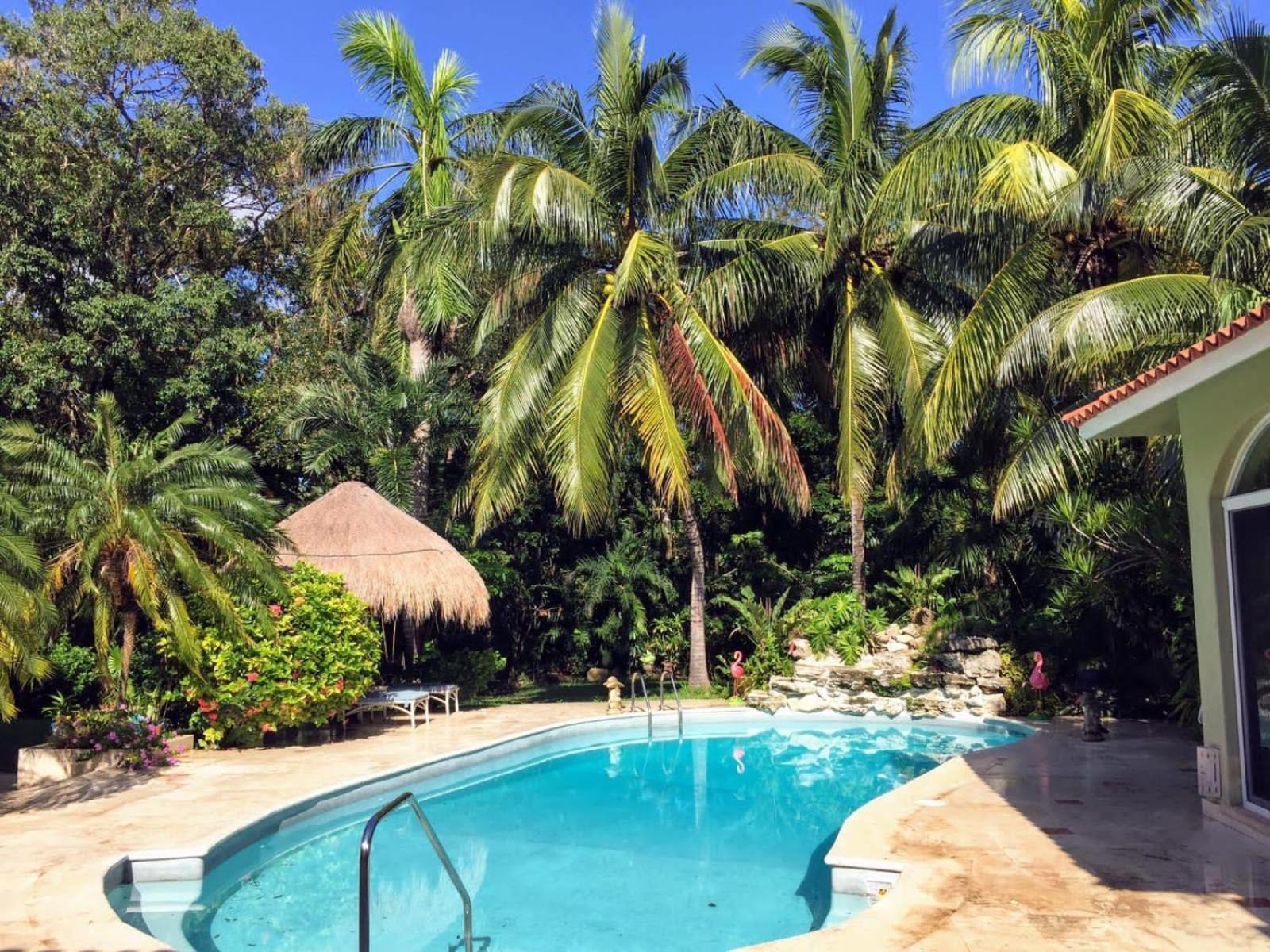 Casa Beard, Spacious Guest House With High Speed Wifi & Pool. 普拉亚卡门 外观 照片